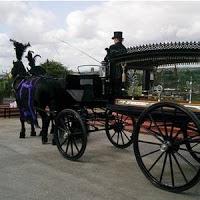 Horse drawn Carriage Hire   Disley 280895 Image 0
